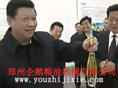 牡丹籽油設備 牡丹籽油成套生產線(圖2) 牡丹籽油生產線