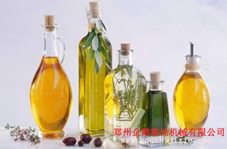 油脂設(shè)備之苦蕎籽油提取設(shè)備 苦蕎籽油營養(yǎng)價(jià)值高(圖2)