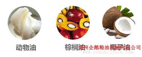 選油換油有講究, 食用油生產(chǎn)廠家教你選油吃油正確方法(圖6) 選油換油有講究, 食用油生產(chǎn)廠家教你選油吃油正確方法(圖6)