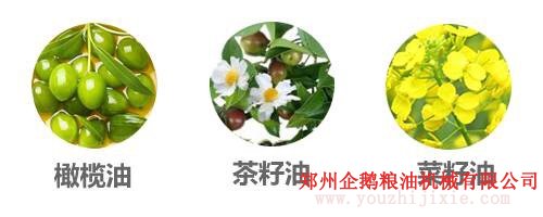 選油換油有講究, 食用油生產(chǎn)廠家教你選油吃油正確方法(圖2) 選油換油有講究, 食用油生產(chǎn)廠家教你選油吃油正確方法(圖2)