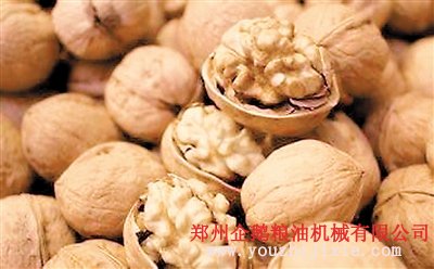 核桃榨油成套設備交鑰匙工程(圖1) 核tao