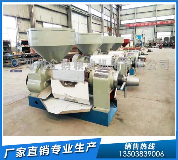 葵花籽榨油機多少錢?企鵝設備走心智造(圖1) 葵花籽榨油機