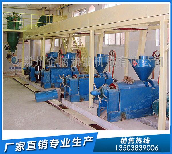 花生榨油生產線,企鵝油脂設備卓爾不群(圖1) 花生榨油機