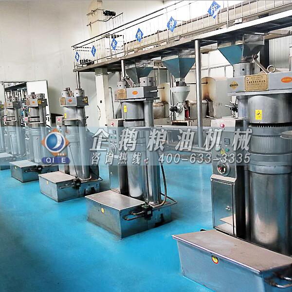 核桃壓榨油設備生產線,企鵝品牌卓爾不凡(圖1) 核桃油壓榨設備