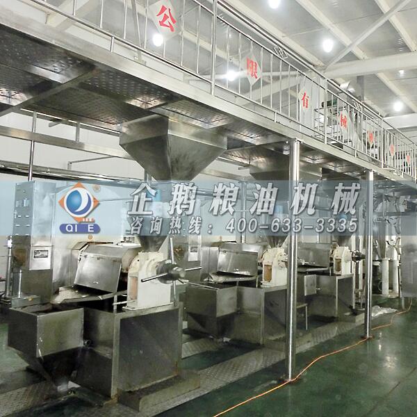 茶籽油加工設備廠家,鄭州企鵝重磅出擊(圖1) 茶籽榨油機設備