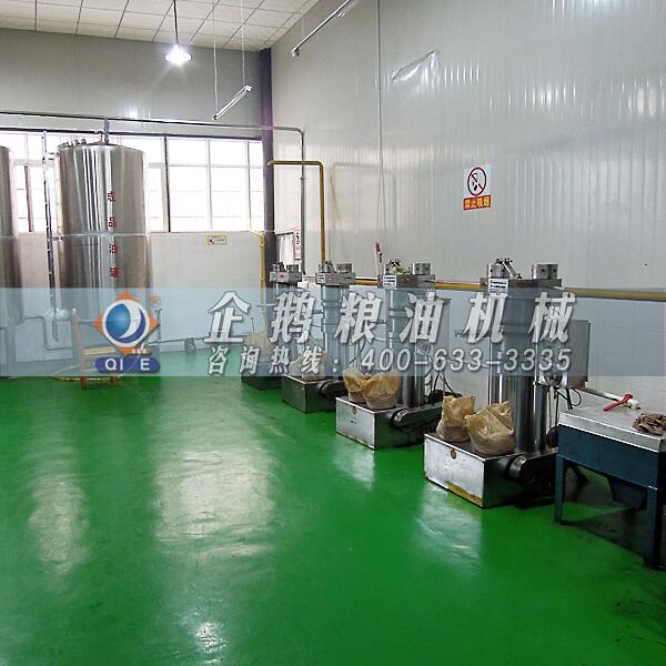 核桃油壓榨生產線,企鵝榨油機好評如潮(圖1) 核桃油加工設備