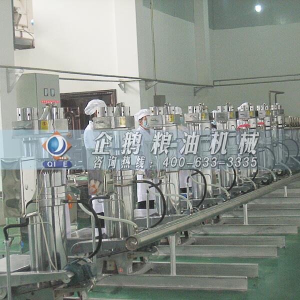 核桃油壓榨精煉設備,企鵝匠心鑄就品質(圖1) 核桃油加工設備