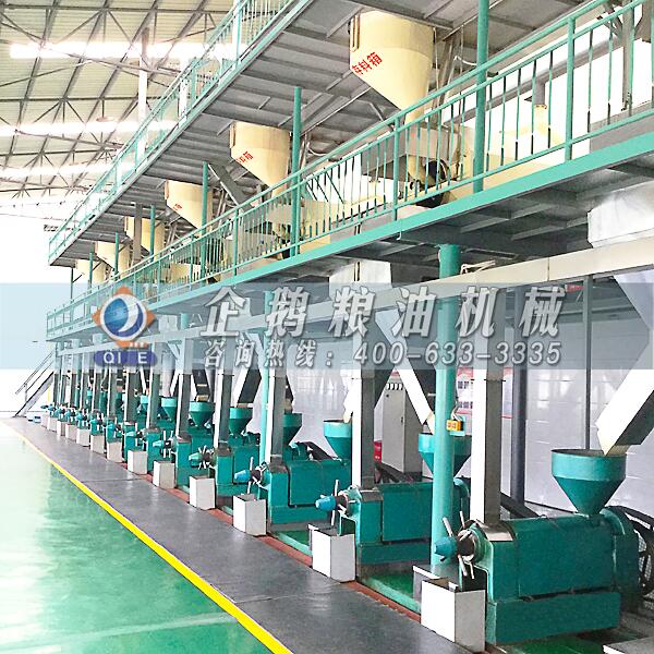 芍藥籽油加工設(shè)備