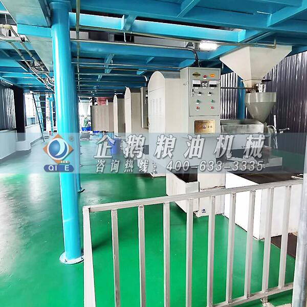 茶籽油加工成套設備,鄭州企鵝嶄露鋒芒(圖1) 茶籽油加工設備